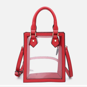 Elise Clear Rectangular Crossbody w/ Dual Handles