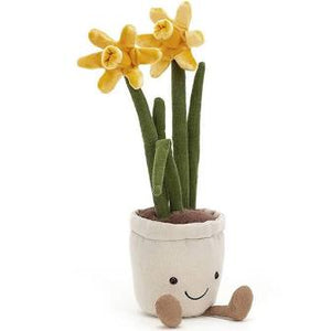 Amuseable Daffodil